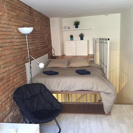 Le Petit Moulin, Duplex Hypercentre Toulouse Apartamento Exterior foto