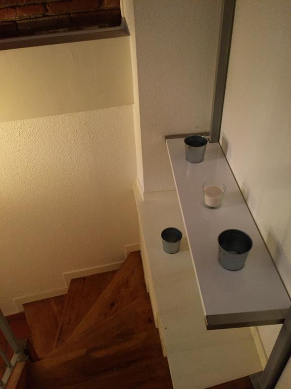 Le Petit Moulin, Duplex Hypercentre Toulouse Apartamento Exterior foto